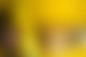 Фотография квеста Миньоны от компании Iquest (Фото 1)